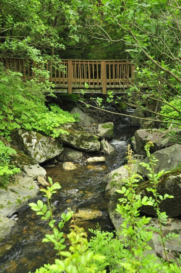 Stay Berkshires Williamstown Ngoại thất bức ảnh